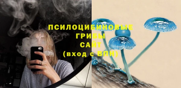 СК Алексеевка