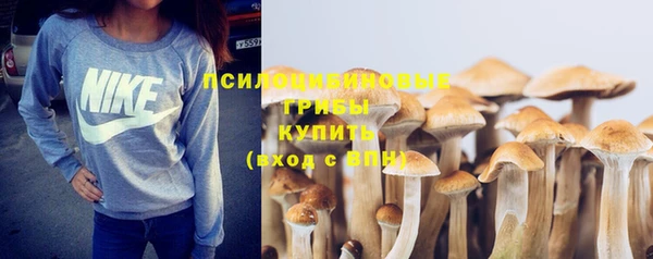 СК Алексеевка